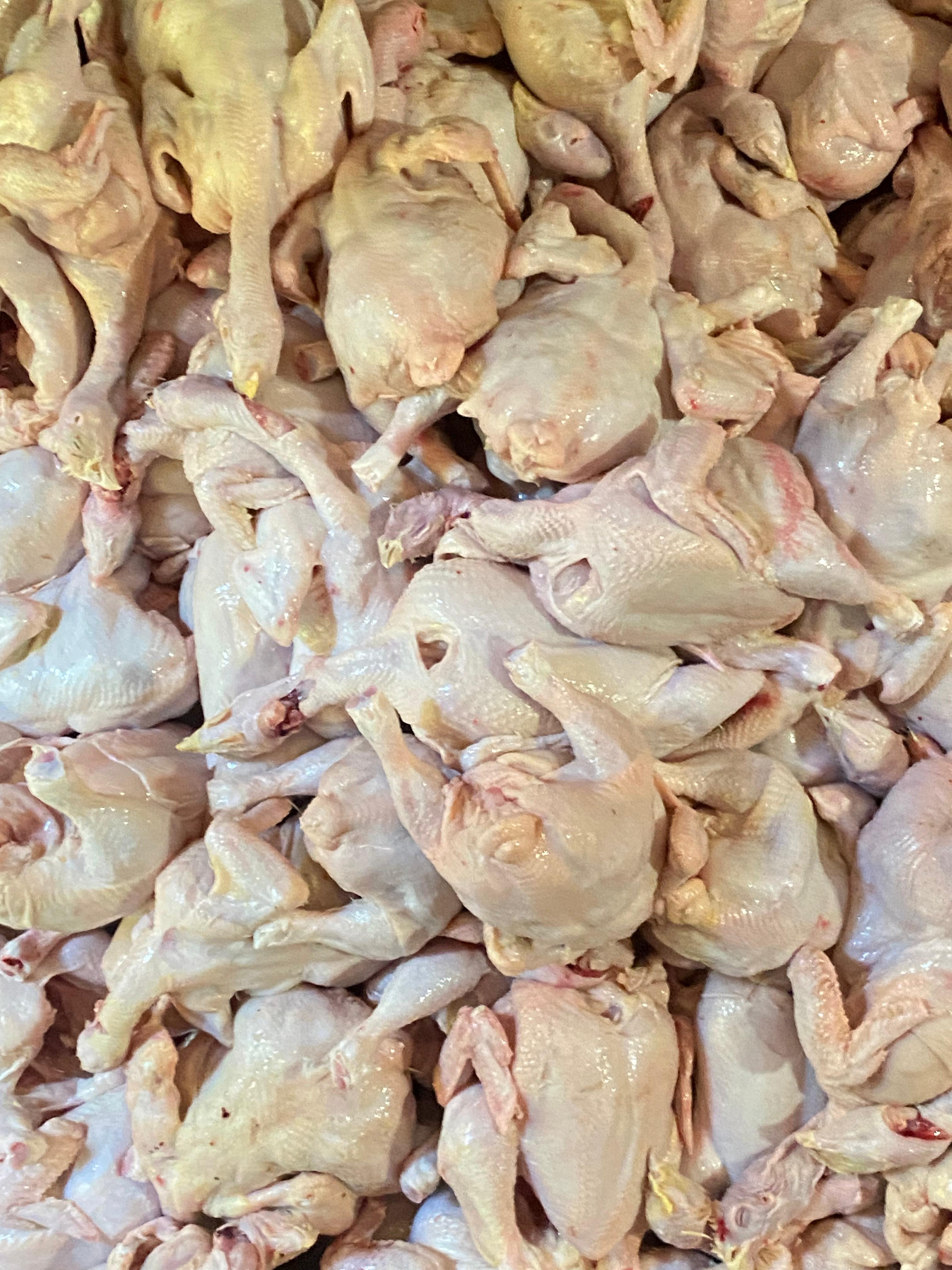 Pemotongan Ayam Ibu Tumirah